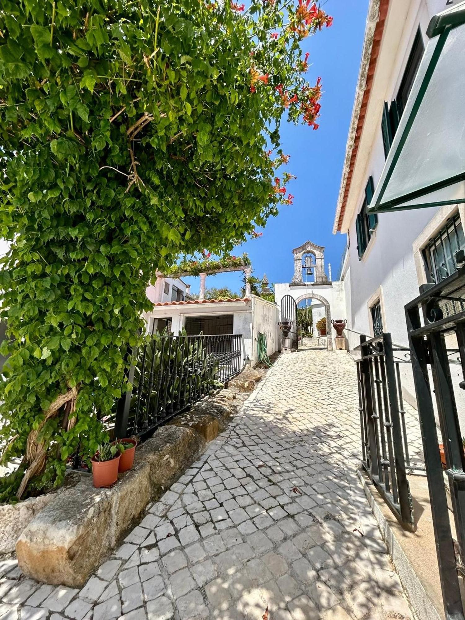 Traditional Portuguese Village House - Casa Martins No 52 Freiria Eksteriør billede